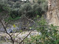 Alcantara gole